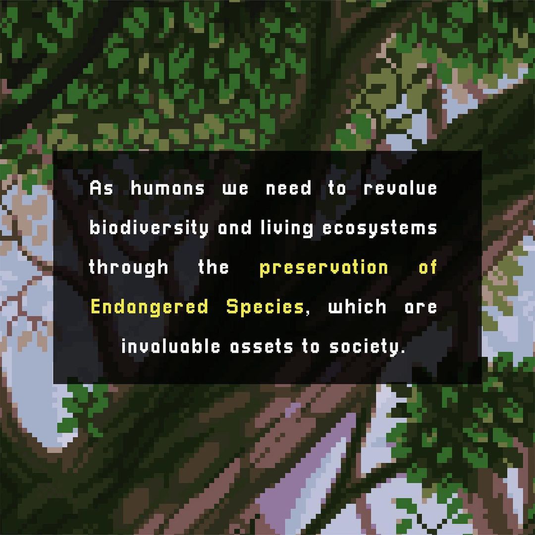 EntreesNFT's tweet image. Biodiversity or biological diversity refers to the variety of living organisms such as animals, plants, fungi, bacteria, among others, that are part of all terrestrial and aquatic ecosystems. It includes diversity within the same species, between species and between ecosystems.