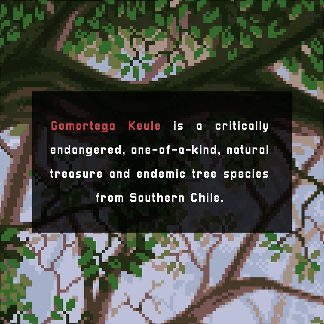 EntreesNFT's tweet image. Biodiversity or biological diversity refers to the variety of living organisms such as animals, plants, fungi, bacteria, among others, that are part of all terrestrial and aquatic ecosystems. It includes diversity within the same species, between species and between ecosystems.