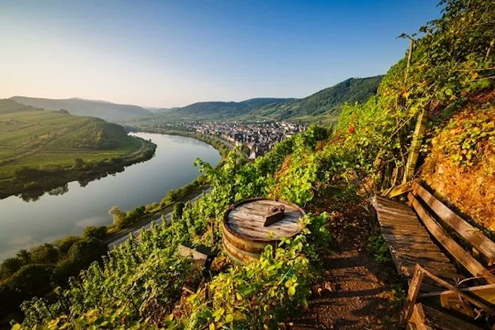 wheelsup_'s tweet photo. Stunning wine hikes not only for connoisseurs. Explore a wide variety of exciting wine regions in @GermanyTourism 
 
https://t.co/fQVNdd44hM #TravelAgent #globalagents #follow #travel #tourism #Germany #Europe #winetour #winetasting #wine #adventure https://t.co/NGHfqO4o9j
