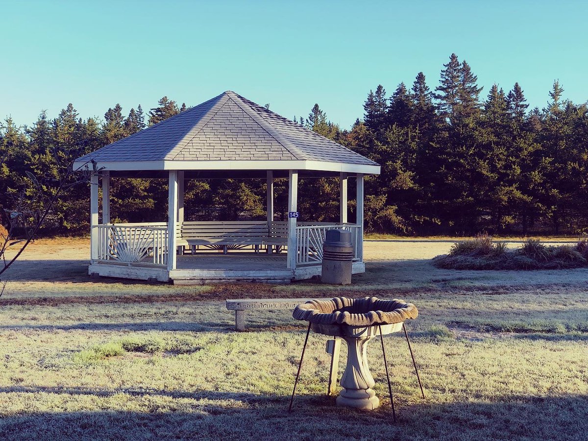 Had to turn around on the way to the Town Office this morning and grab this frosty shot.
#StGeorgeNB #firstfrost