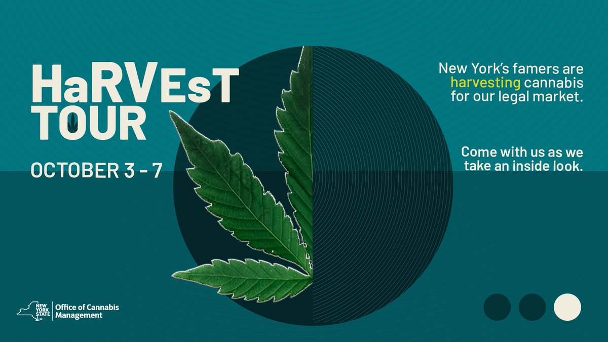 New York farmers are the backbone of our cannabis industry.

Join us this #Croptober harvest week as we take an inside look of the #seedtosale process that will bring our state’s first legal adult-use sales to life.
.
.
.
#GreenCommunity #OCMHarvestTour