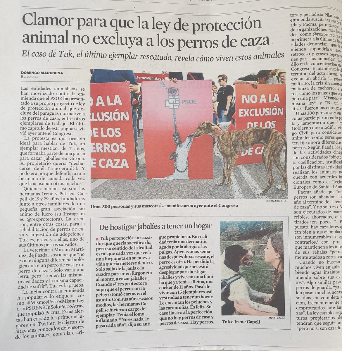 🗞 La Vanguardia se hace eco de la protesta #MismosPerrosMismaLey, en su versión impresa 👏

Sus 472.000 lectores diarios ya se han dado por enterados. ¿Y tú, <a href="/sanchezcastejon/">Pedro Sánchez</a>?

Gracias <a href="/historiasytinta/">@historiasytinta2.bsky.social</a> por el artículo. 🐕❤

Léela aquí: lavanguardia.com/vida/20220930/…