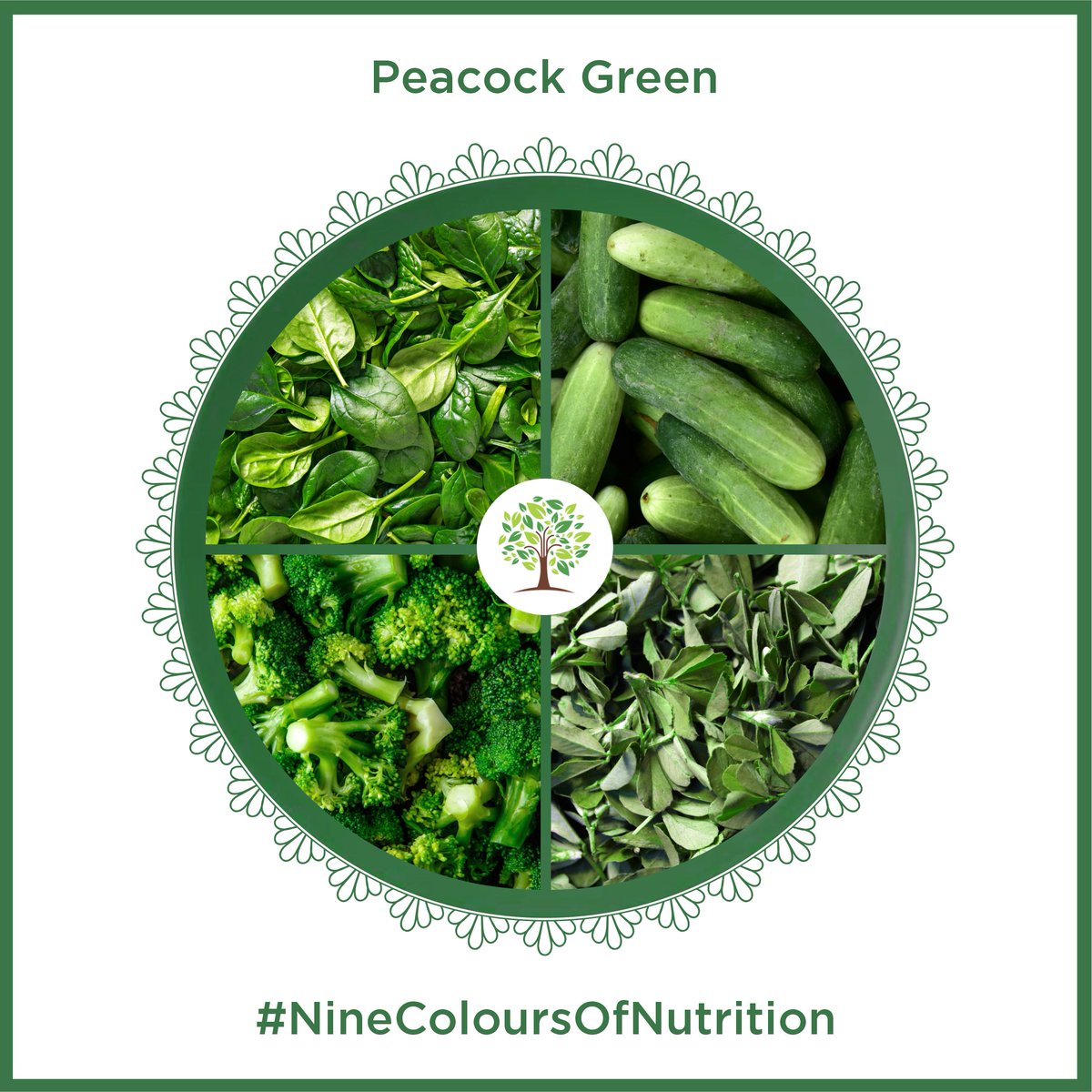 NucgnexD's tweet photo. Peacock green signifies the fulfillment of wishes.

This Navratri let’s include the traditional nine colours in our everyday diet. Peacock Green food items that are rich in nutrients like Vitamin A, Fiber, Omega -3, Folate and Zinc.

#Nucgnex #Navratri2022 #PeacockGreen https://t.co/HAROFIaklE