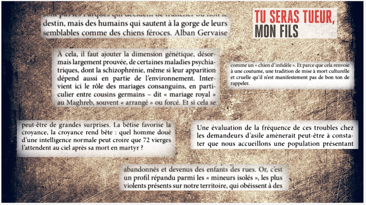 Sleeping Giants FR tweet media