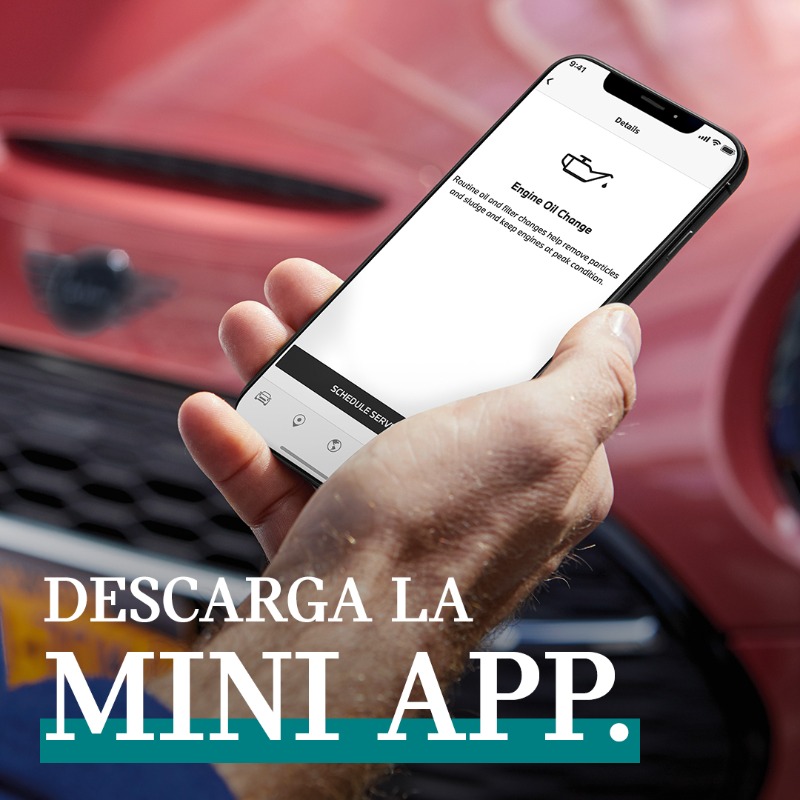 MINIEspana's tweet photo. 🤳¿Solicitar cita en tu taller? Perfecto. 
🤳¿Encontrar un concesionario? Listo. 
🤳¿Comprobar el nivel de carga? Check.

Saca el máximo partido a tu vehículo con la #MINIApp. Tu MINI, a un toque.