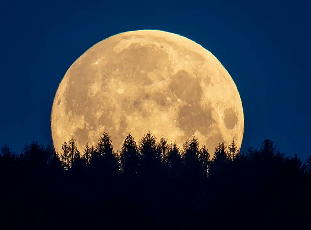 demonologist666's tweet photo. OCTOBER 9TH A FULL HUNTERS MOON 
This full Moon is called the Hunter’s Moon, Blood Moon, or Sanguine Moon. Years ago Native Americans named the Moon because the leaves are falling from trees, the deer are fattened, and it’s time to begin storing up meat for the long winter ahead. https://t.co/0MFAlLfOoY
