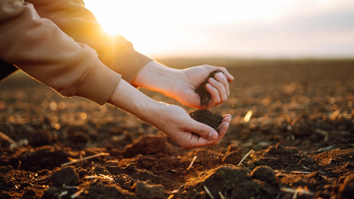 Soils aren’t bottomless buckets we can pour nutrients into and have them available later, so don’t just “spread and hope” next season.

Learn how soil processes function: bit.ly/3U65kSN