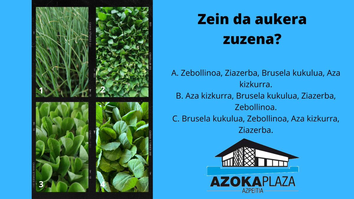 Jolastu nahi?
#bertakoaelikatuz #bertakoaetagaraikoa #azoka #landareak #Azpeitia #kontsumitubertakoaetagaraikoa