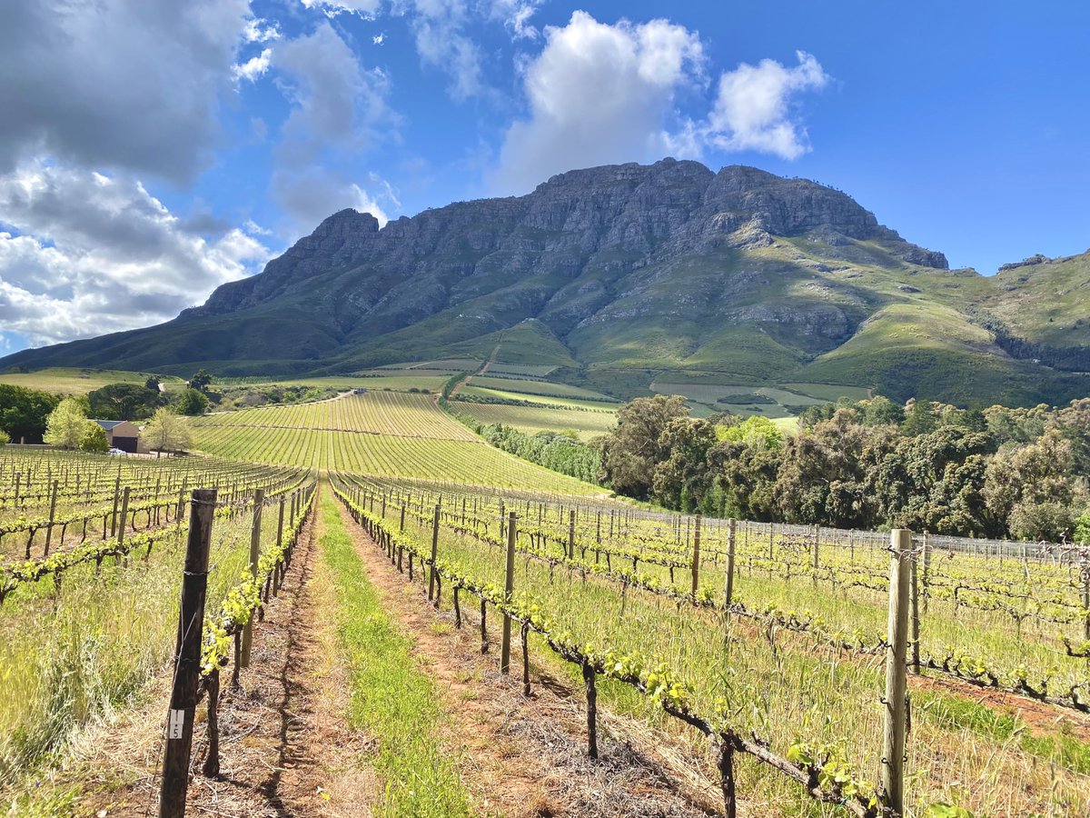 TokaraWine's tweet photo. The striking #Simonsberg Mountain, one of the world’s top wine producing destinations. https://t.co/ZDKrxARYQW