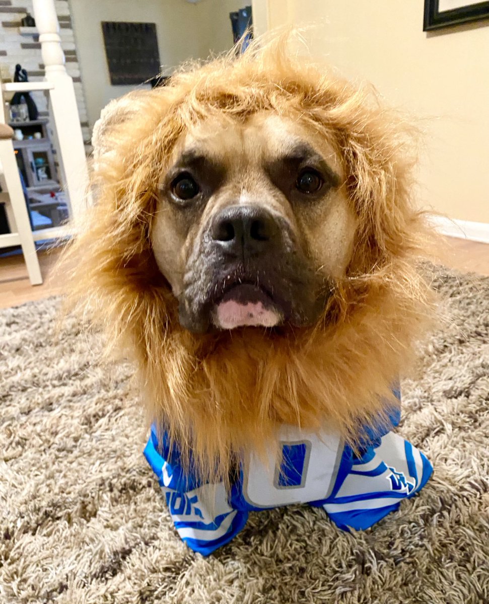 #thenine Rambo still believes in the lions !!