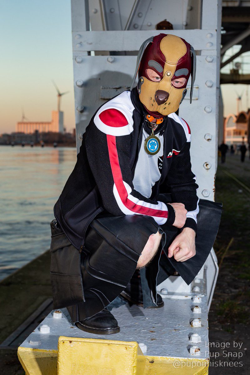 Northeast Pet and Handler is excited to announce our next Judge for the 2023 Contest
Pup KAse, IPTC Puppy 2018
Join us on 7-Oct to 9-Oct 2022 in NYC  Details at Nepah.org