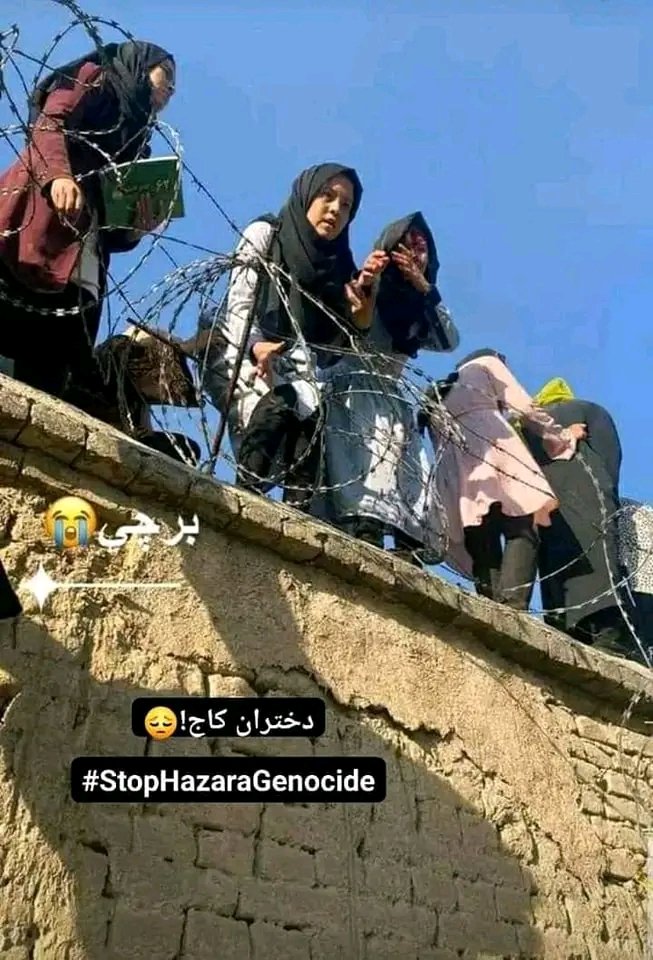 تلاش دختران کاج برای زنده ماندن
#STOPHAZARAGINOCIDE
