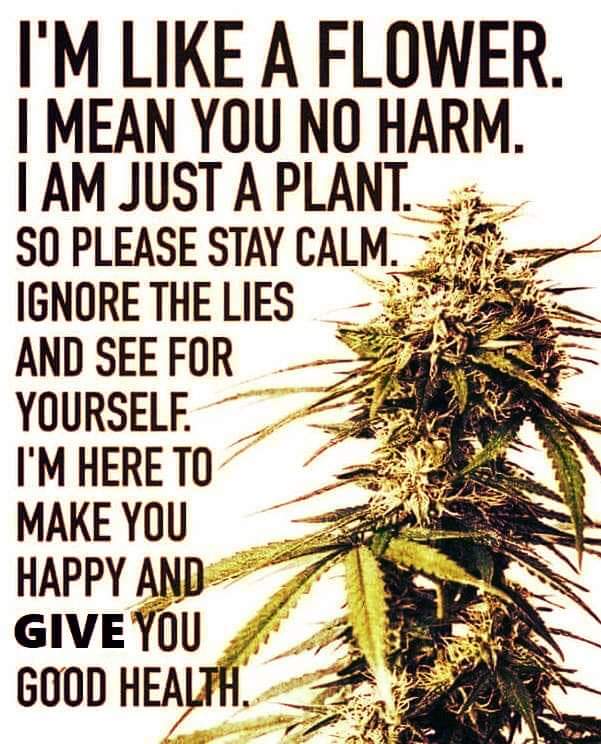 :>}_~#WakeNBake #StonerFam #StonerCircle #MMOT #IAmCannabis #WeAreCannabis #FuckCancer #StayWoke &amp; ALL #STONERS ~HappyMonDazed~