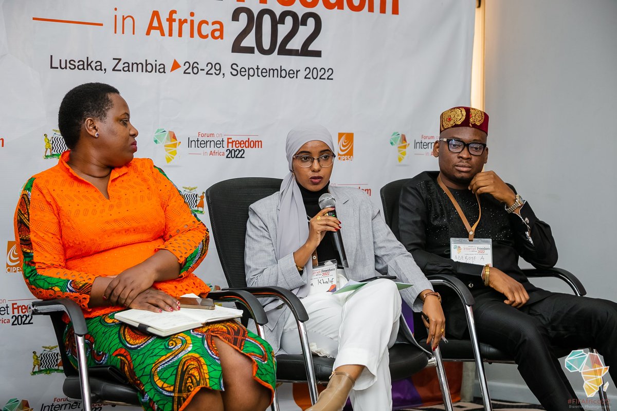 Digital Shelter tweet media