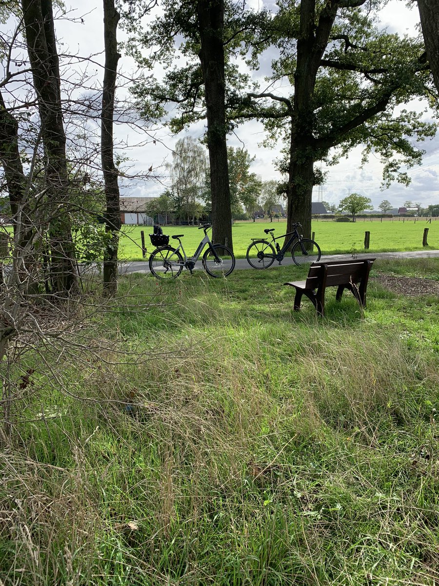 Heute das nette Wetter genutzt, um mit dem Rad (28km) ein paar Geocaches zu suchen und zu finden. Dabei festgestellt, dass der Mantel hinten doch getauscht werden muss. Hat aber für heute gehalten. #Glückgehabt #Cachefrequenz #GoGeocaching