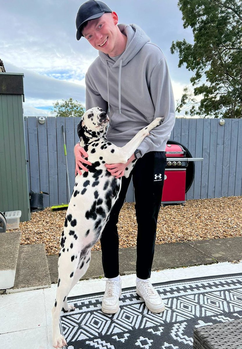 Happy Monday Chums..🐶..
#DogsofTwittter #DogsAreFamily 
#Dalmatian ❤️