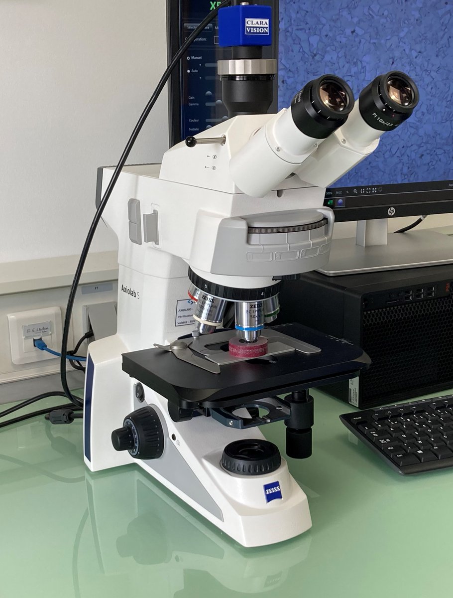 STAINLESS_Group's tweet photo. 👨🔬2️⃣ - Our lab is equipped with a Zeiss binocular magnifier from X1 up to x5 from the first expertise level. An optical microscope from Zeiss has been added to analyze the microstructure in detail (up to X1000).
#Stainlessgroup #Stockiste #distributorkain #cobalt #WeekInTheLab https://t.co/cVJP2t7V3z
