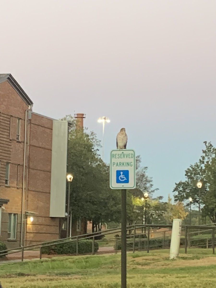 New LATech parking enforcement starts this morning.