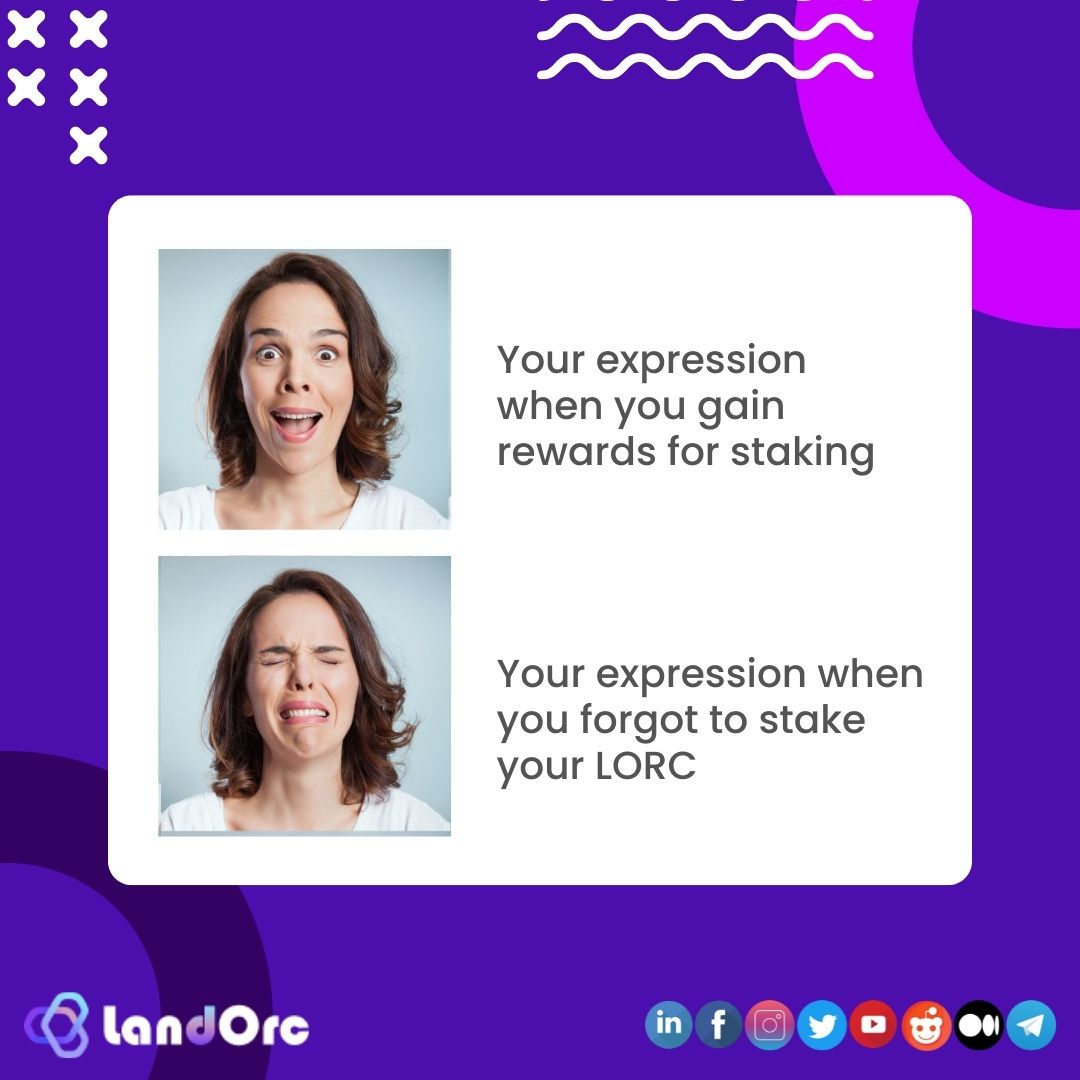LandOrc tweet media