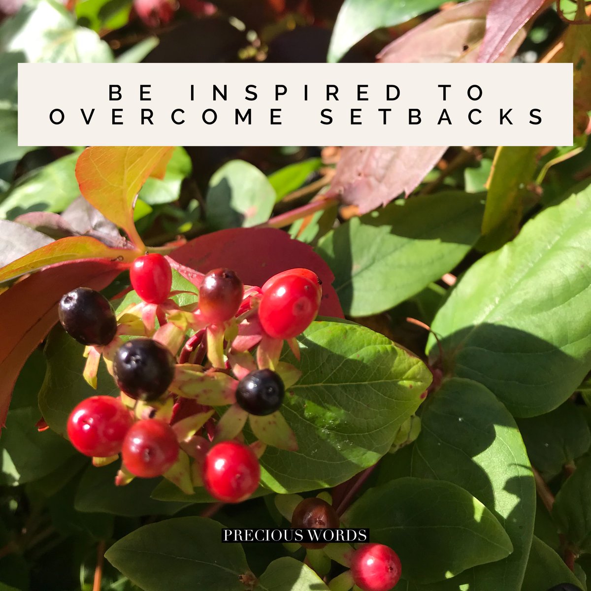 Be inspired to overcome setbacks, be strong and positive and stay strong.
#inspire #inspiredaily #beinspired #overcome #overcomesetbacks #staypositive #staystrong #preciousworedtoliveby
