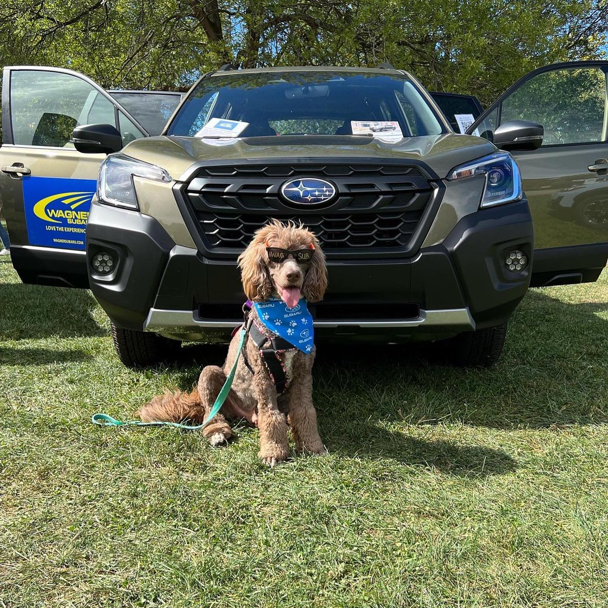 Wagner Subaru tweet media