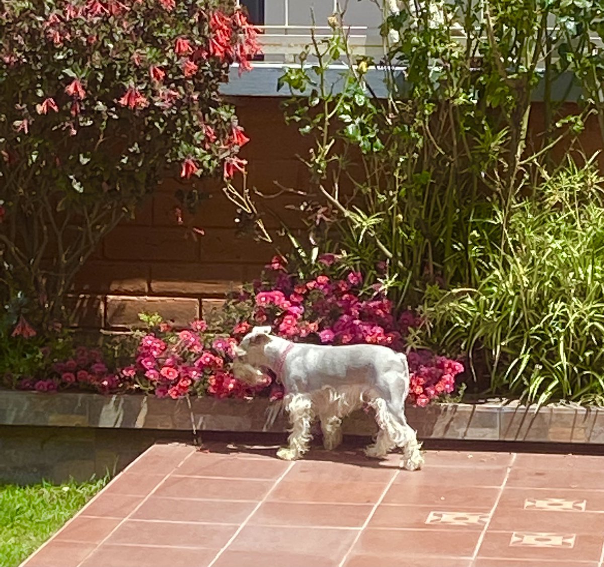 taficalderon's tweet photo. Te amo Rory. https://t.co/7VaxFVY4gs