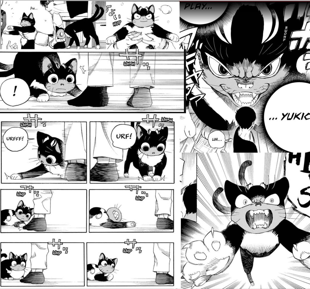 new Blue Exorcist chapter was not exactly what i wanted but im glad i got it
one of those things i didnt know i needed 🥹💙
Kuro is the babiest baby and best kitty in all of anime and manga 