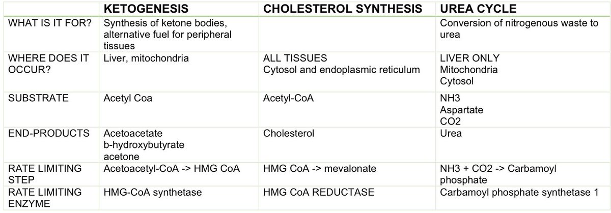 #BIOCHEM #PLE2022

PBQ: Pathways and✨Where does it occur ✨

Cc: thank u tablemaster kung sino ka man