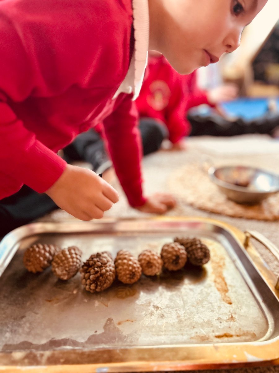 Ringland Primary School tweet media