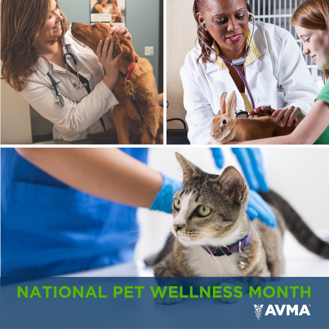 Tweet by AVMA (American Veterinary Medical Association)