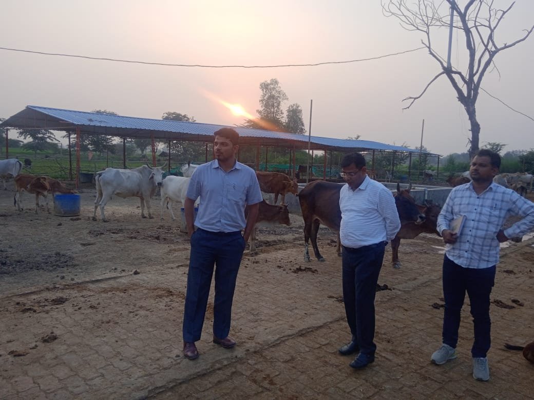 CdoSultanpur's tweet photo. गोवंश आश्रय स्थल, परसीपुर विकास खण्ड लम्भुआ का आकस्मिक निरीक्षण किया गया। निरीक्षण के दौरान अतिरिक्त शेड बनवाये जाने के दिये गये निर्देश। @CMOfficeUP @UPGovt @UpRuralDev @SultanpurDm https://t.co/Nv3yVHd5ob
