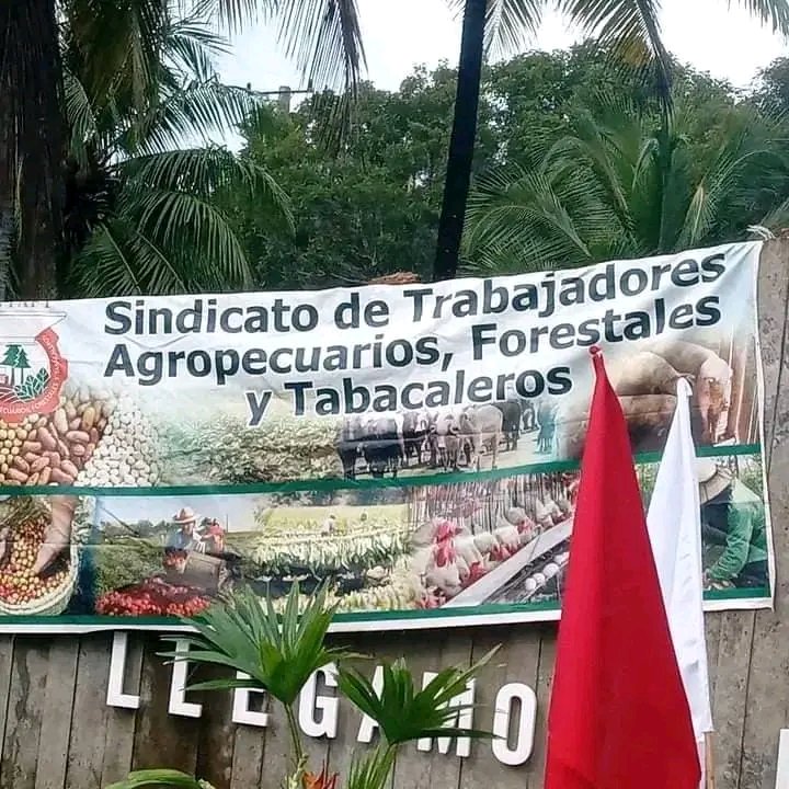 #ProvinciaGranma 
Muchas felicidades a los trabajadores del sindicato Agropecuaria.