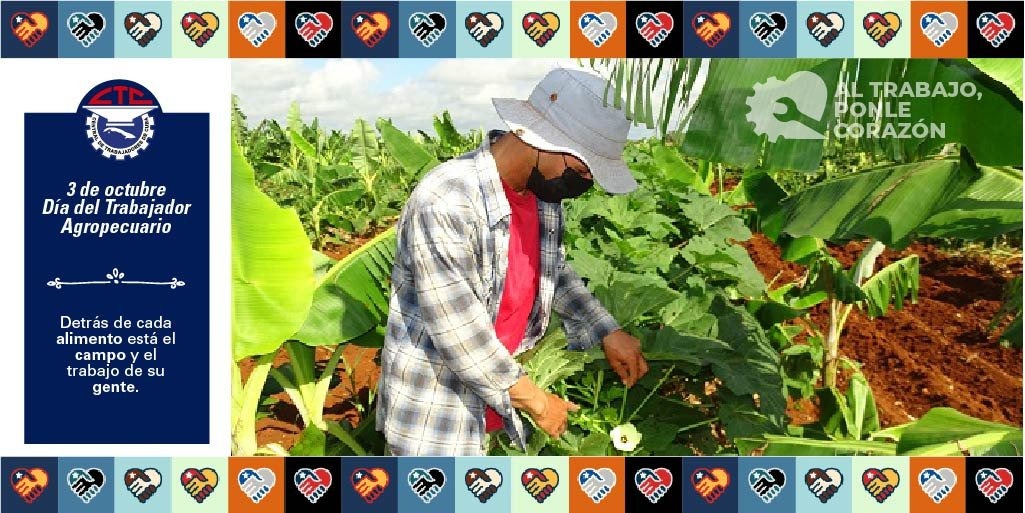 Muchas felicitaciones para todos los trabajadores agropecuarios cubanos, en especial para los integrantes del grupo #FFaunaCuba que velan por la conservación de la flora y la fauna cubana.
#CubaViveYTrabaja
#MINAGCuba