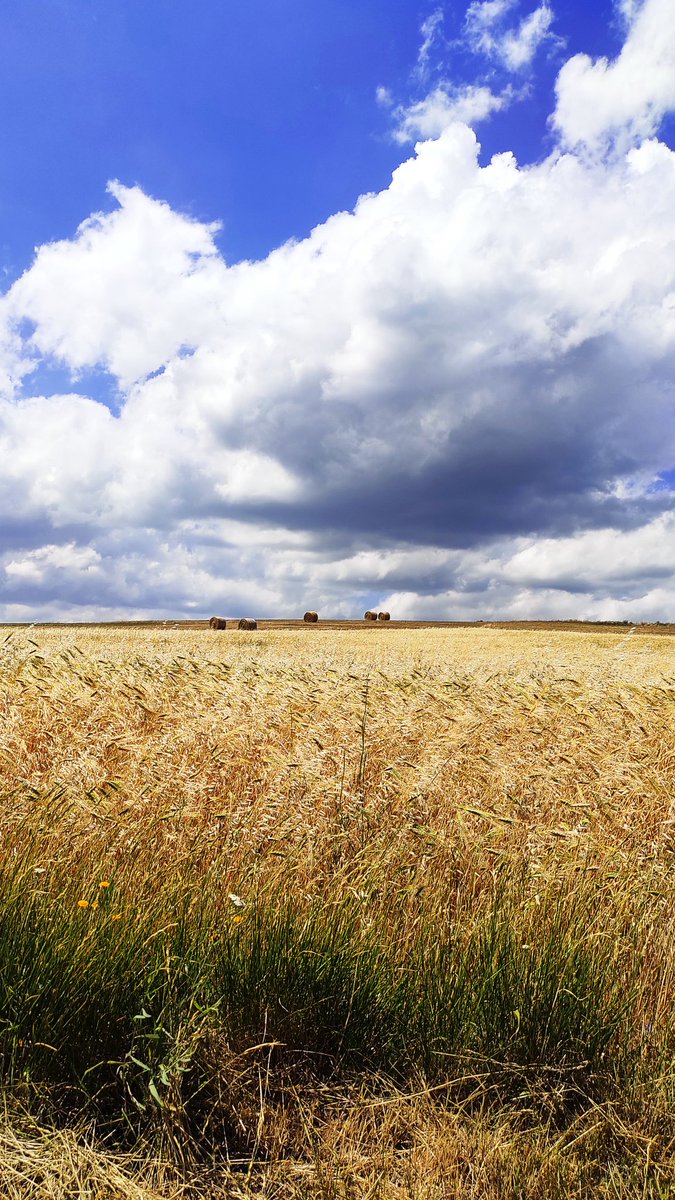 #field #feld #photographer #foto #photography #photo #travel #world #life #live #aesthetic #natureaesthetic #nature #natura #mountains #montagne #Umbria #Italy #Italia