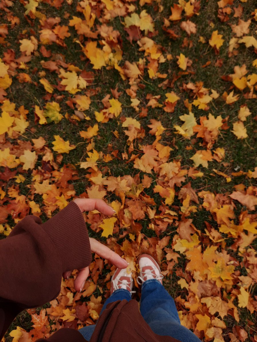 archippy's tweet image. i dont like the coldness of autumn but the colour scheme is stunning!!!