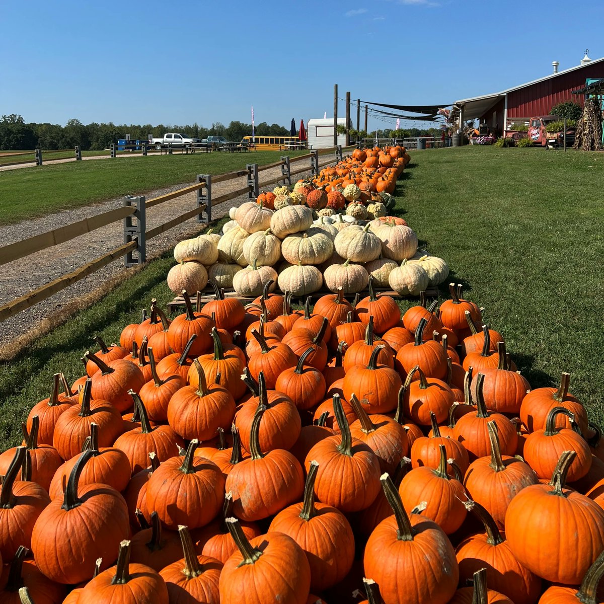 Patterson_Farm's tweet photo. 🎃We’ve got a variety of pumpkins to choose from outside of the Market! Come check them out and get a head start on your fall decorating! 🎃
We also have an amazing Ice Cream shop! No ticket necessary!
https://t.co/SbGCVaqcDS
#VisitNCFarms #FallFunOnTheFarm #VisitPattersonFarms https://t.co/K2L7BVtylC