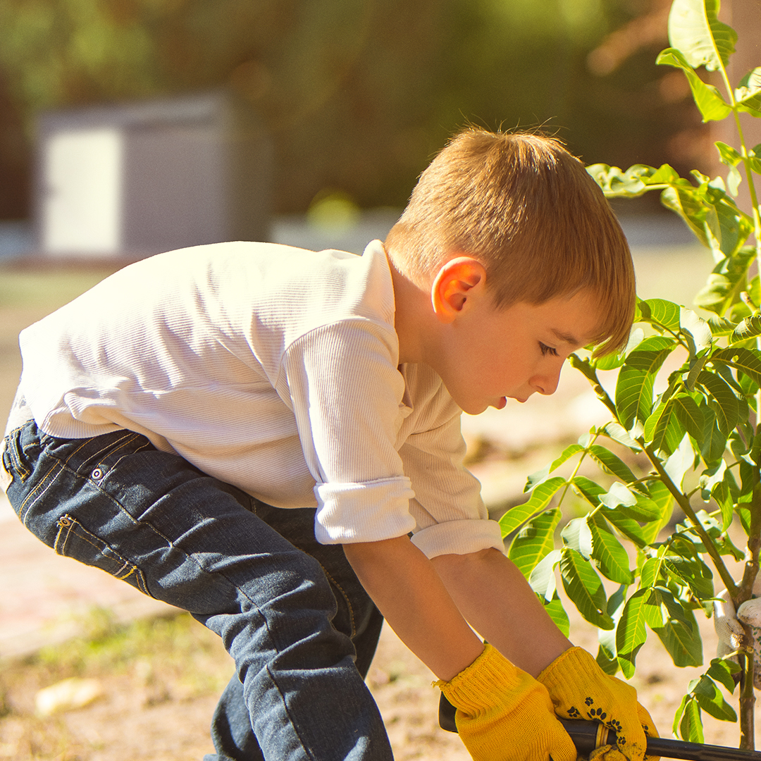 Suncast Corporation tweet media