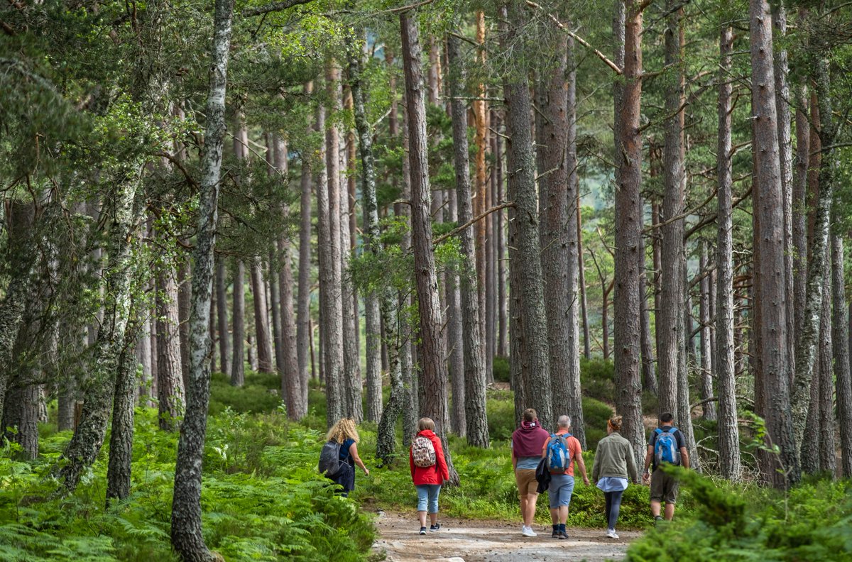 1/3 | Share your thoughts on how we can make the #Cairngorms #NationalPark a place where people & nature can thrive together! Attend our drop-in community roadshow events and learn more about our #HeritageHorizons #Cairngorms2030 projects.