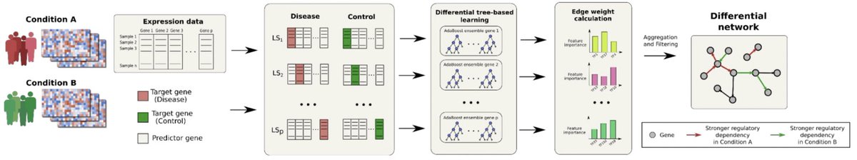 BoostDiff: Inference of differential gene regulatory networks from gene expression data using boosted differential trees biorxiv.org/content/10.110…