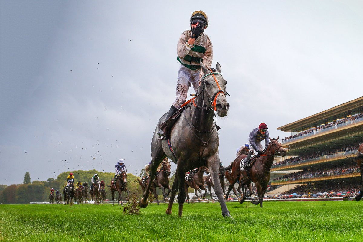 🇫🇷凱旋門賞当日、フランスPMUのロンシャン開催1日の馬券売上は3330万ユーロ。 日香の凱旋門賞の馬券売上 日本 4600万ユーロ(64.9億円)  香港 2700万ユーロ