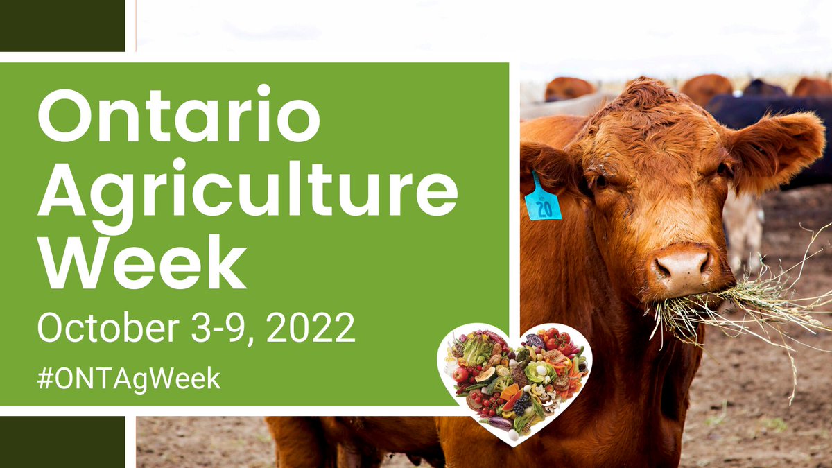 Ontario Agriculture Week October is here! #ONTAgWeek is dedicated to celebrating the abundance of food #ontfarmers produce, the people our industry employs, the rural communities supported by #ontag and the economic engine we fuel.