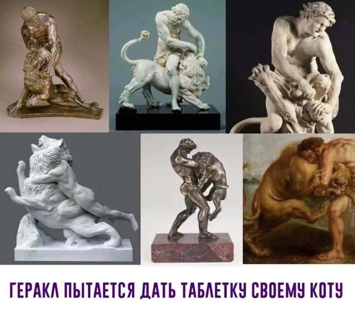 царь (@procto_tsar) on Twitter photo 