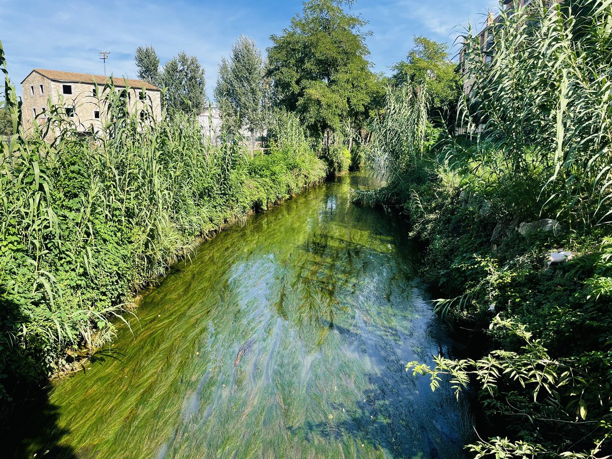 Xavier Villarreal tweet media