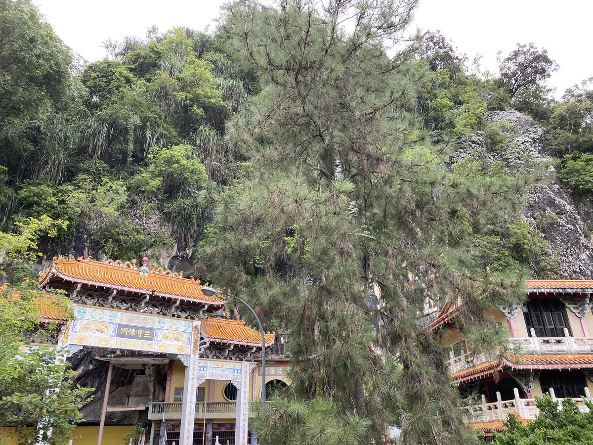 neyharica's tweet photo. On day 4 Visit to Sam Poh Tong temple. It was very huge and we got to know more about it. https://t.co/kD0uO7fTM8