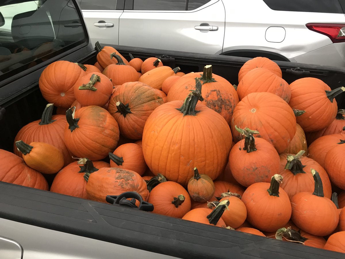 AdamKedge's tweet photo. Med-balls, so 2000's... kettle bells, just a fad... it's time to get strong. Lift, carry, squat, twist & press
#PumpkinStrong #Tradition
@nmmilesplit @PDX_devine @_NMAA @CoachDistance @SummitDistance
thank you Farmer Howard & Jeana Beach https://t.co/YmtLvMrmJP