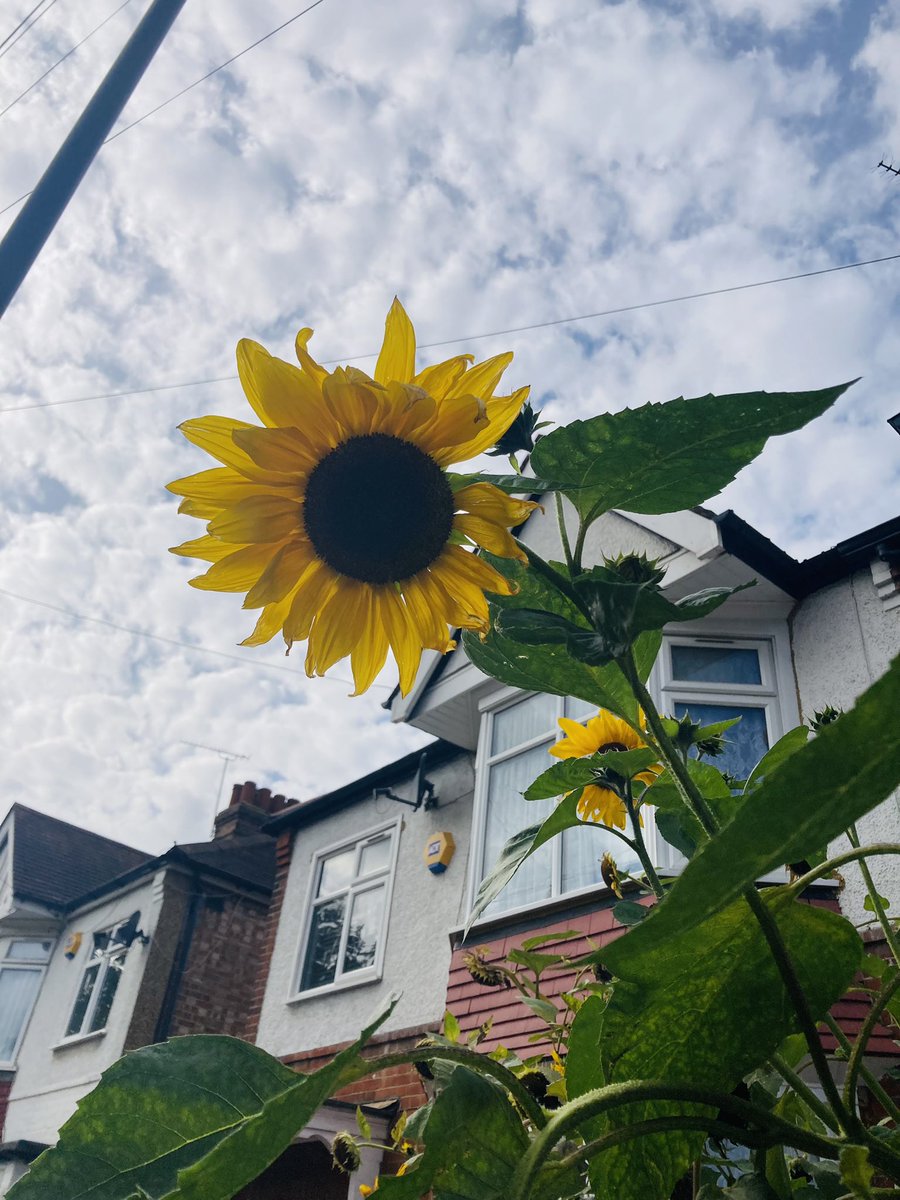 DeliaCazzato's tweet photo. To see the sunrise π
and the sunset π
These are daily experiences we can never forget ππ» See the colours How they can make you feel alive β€οΈ Be that inquisitive bee π escaping the hive πππ» #PoetDee #MondayMotivation #Sunrise #NaturePhotography #LadyPinner https://t.co/8MwNuDABCL