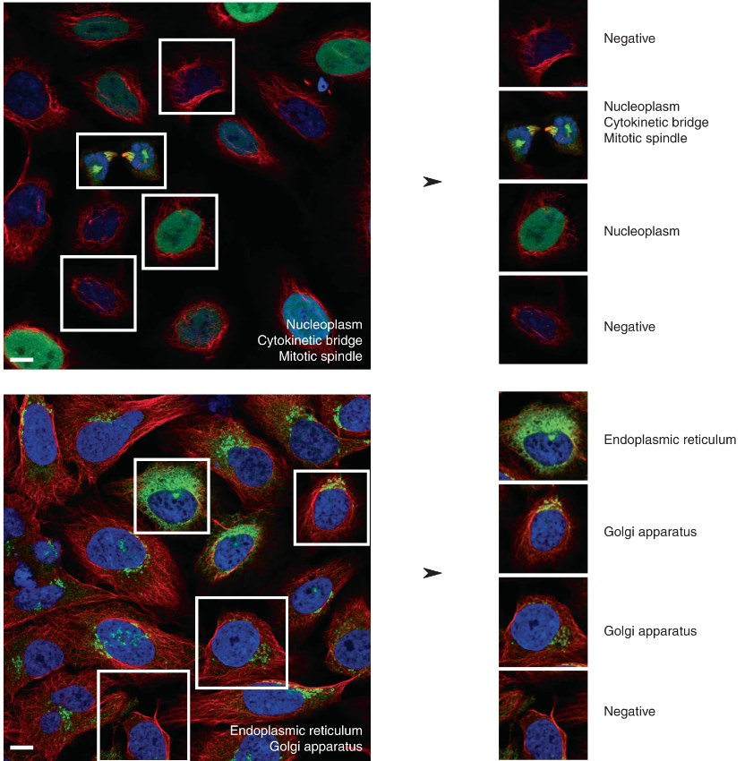 Nature Methods on Twitter "Check out new Analysis describing the