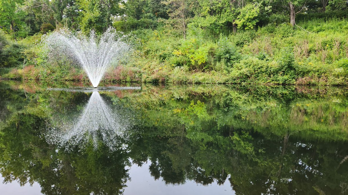 thepondandlake's tweet image. A chilly fall morning by the pond.

#stamfordct #stamfordconnecticut #pondaerator #watermanagement #fairfieldcountyct