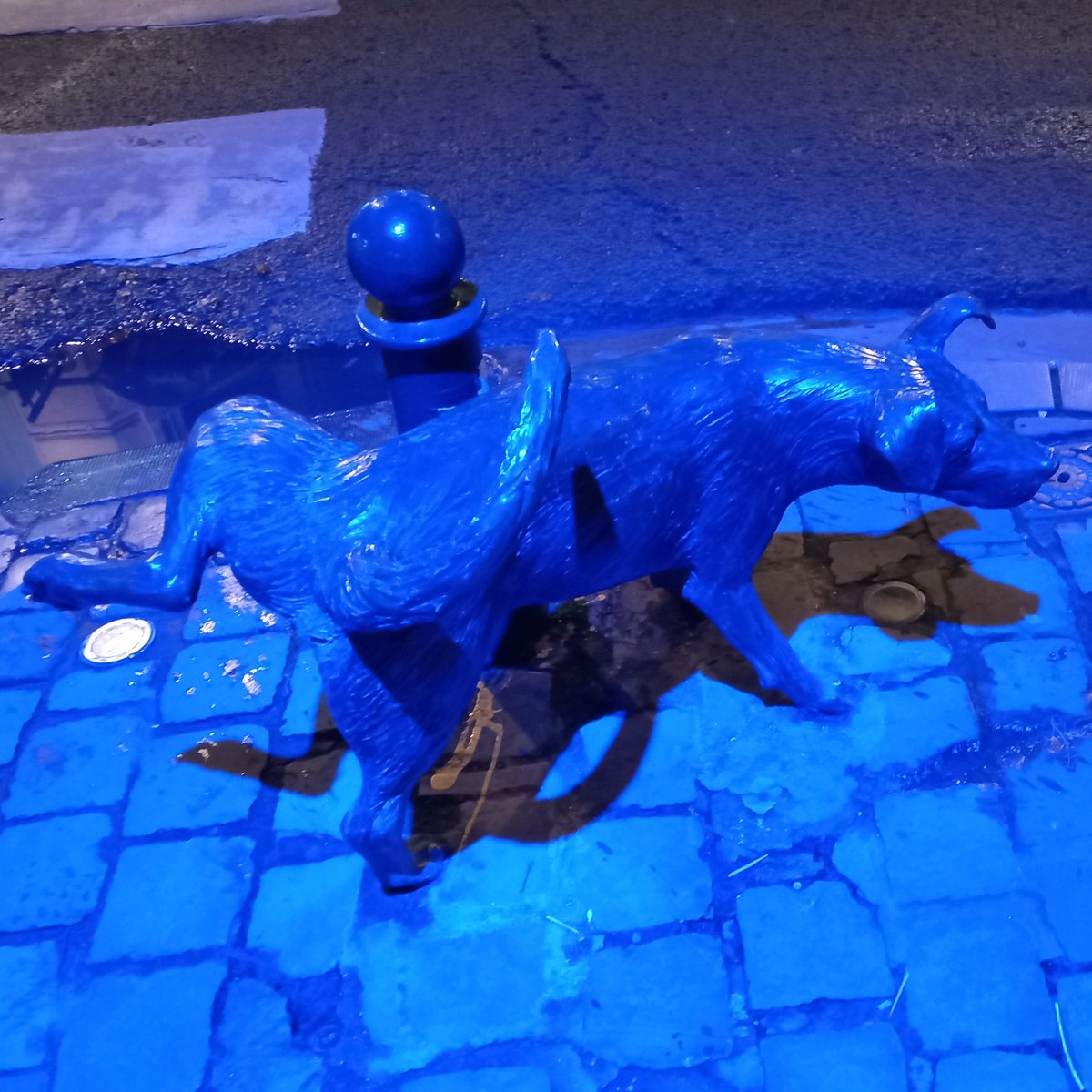 sielmes's tweet photo. #52de2022 #40de52 #animalesdecompañia
#ZinnekePis, el perro que mea en #Bruselas. ¿Será su mascota?
@mongeleon https://t.co/B8ddnf3TJ9