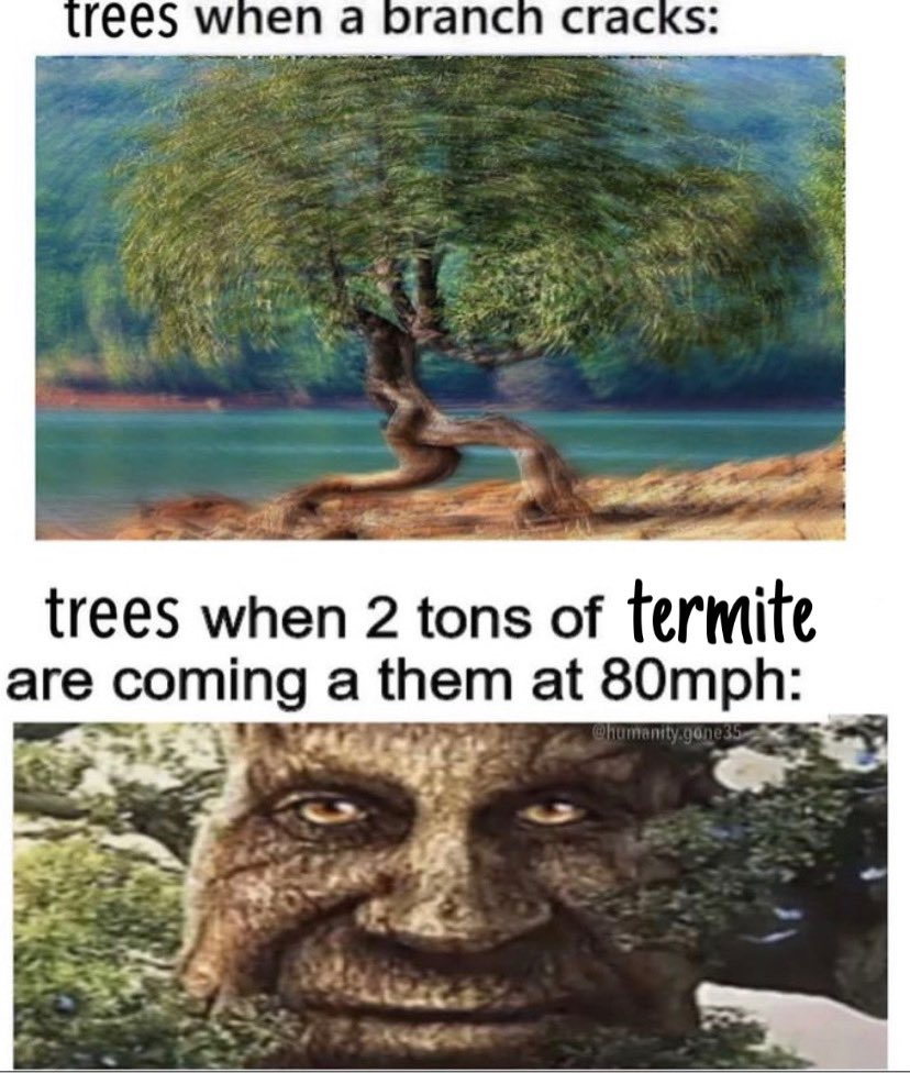 termitejack753's tweet photo. https://t.co/sDH4rm80Nn
